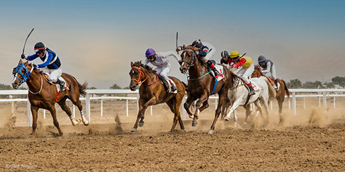 Horse Racing Bahla