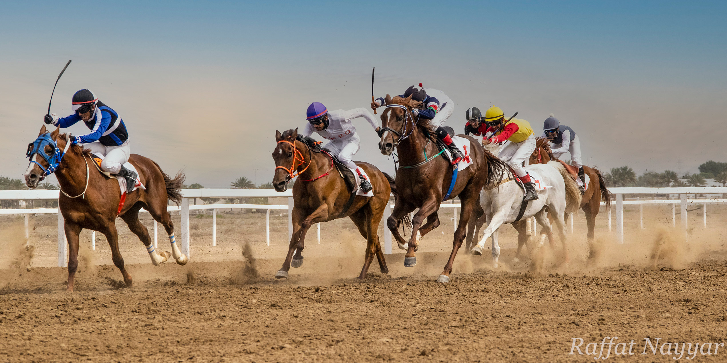 Equestrian Club Bahla - Oman