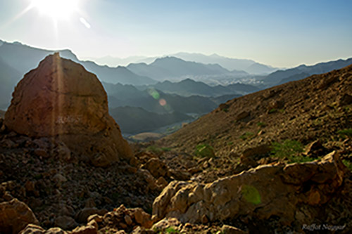 Saal Steps - Oman