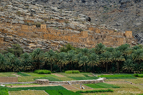 Jebel Shams Foothills - Oman